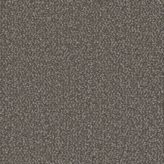 Interstellar Polyester Panther 2238 Carpet Loop 1