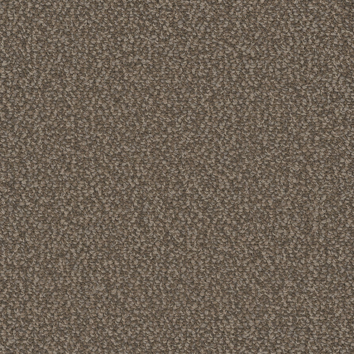 Interstellar Polyester Molasses 2317 Carpet Loop 1