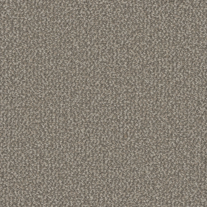 Interstellar Polyester Cactus 2328 Carpet Loop 1