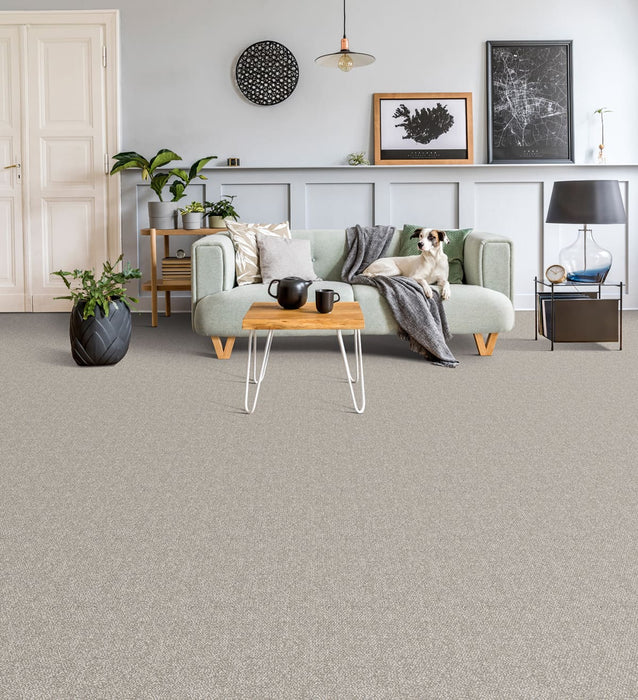 Interstellar Polyester Pearl Glacier 2365 Carpet Loop 2