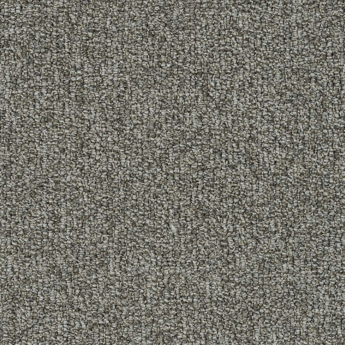 Meteoric Polyester Capricorn 2270 Carpet Loop 1