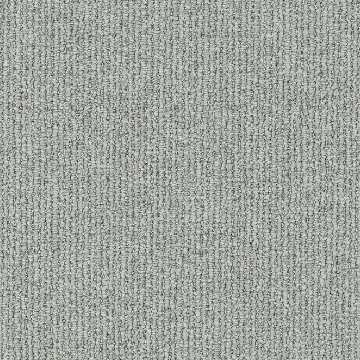 Meteoric Polyester Aquaris 2335 Carpet Loop 1