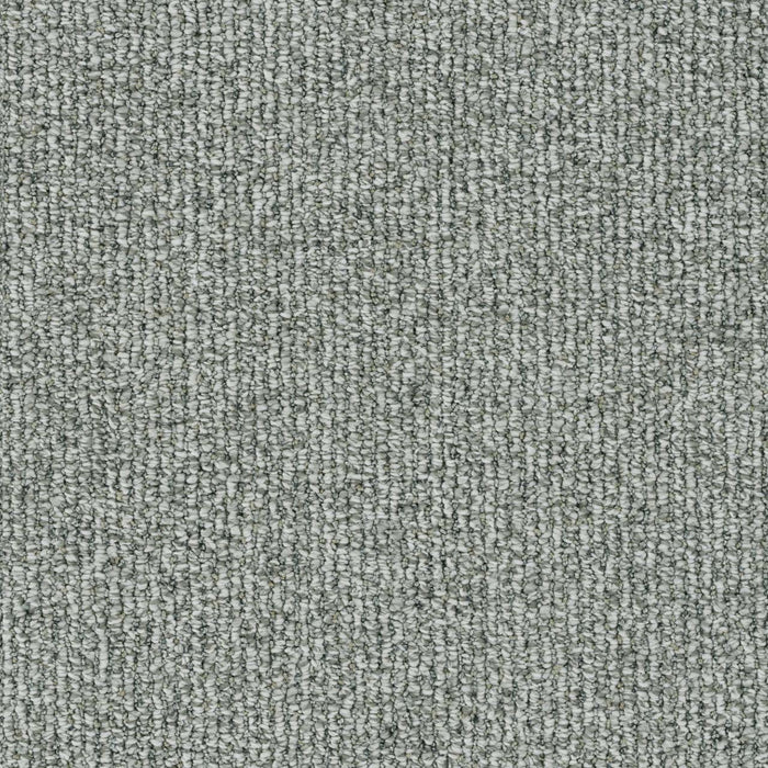 Meteoric Polyester Electra 2461 Carpet Loop 1