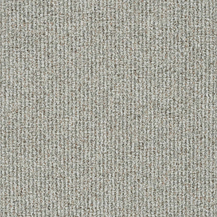 Meteoric Polyester Aries 2519 Carpet Loop 1