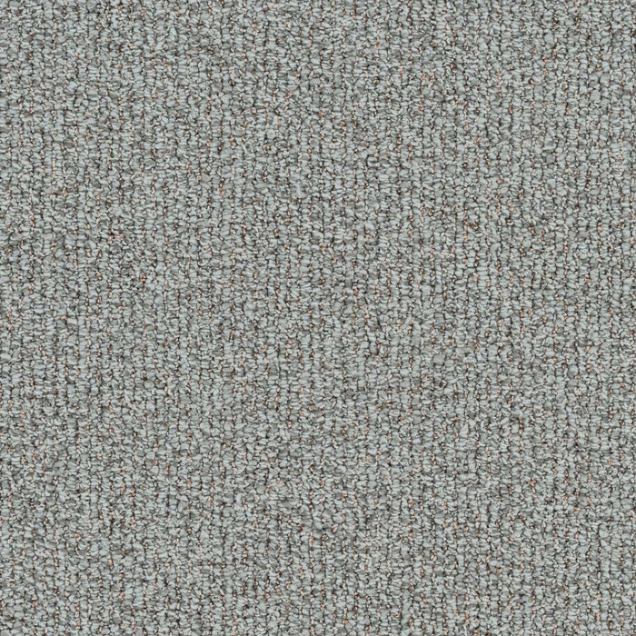 Meteoric Polyester Velocity 2618 Carpet Loop 1