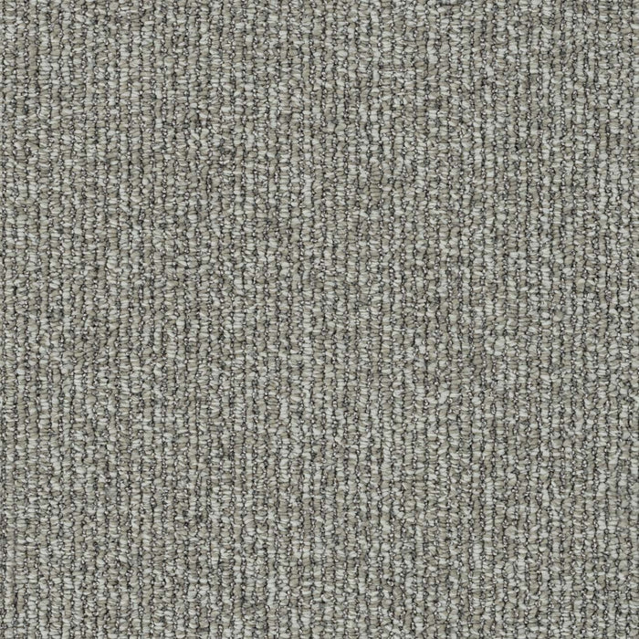 Meteoric Polyester Equinox 2669 Carpet Loop 1