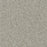 Meteoric Polyester Spectral 2769 Carpet Loop 1
