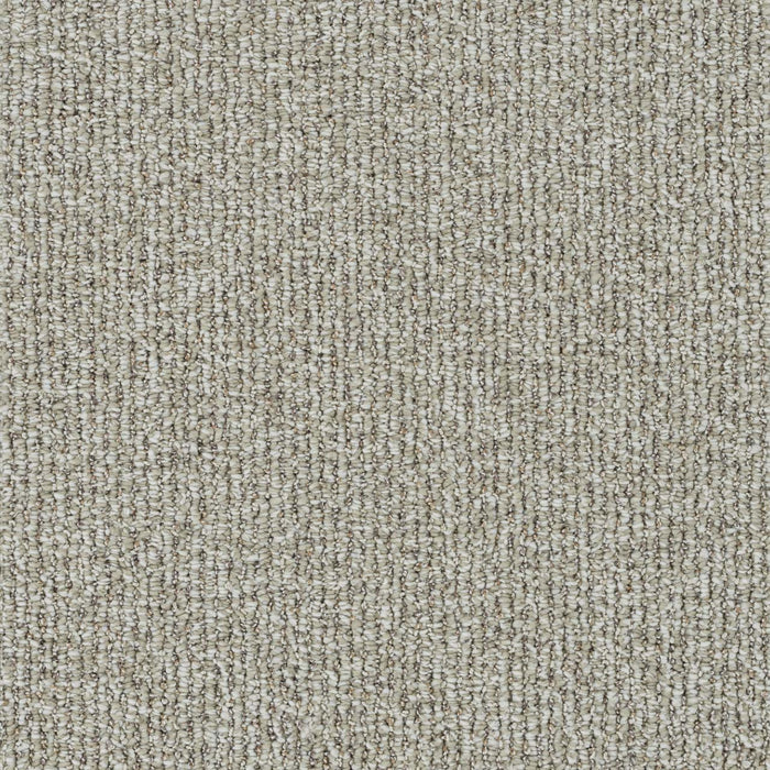 Meteoric Polyester Spectral 2769 Carpet Loop 1