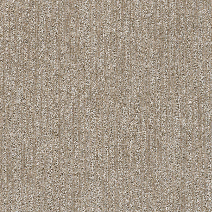 Venetian Polyester Kingsport 4838 Carpet Loop 1