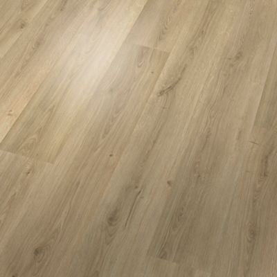 Palm City Golden Sand Oak CDL41 Wood