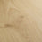 Palm City Golden Sand Oak CDL41 02
