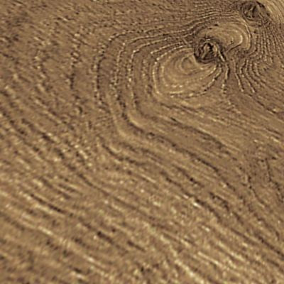 Ivey Gates Wood Natural Bark Oak 03 CDL47
