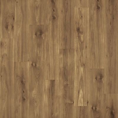 Ivey Gates Natural Bark Oak 03