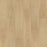 Eden Springs Criollo Hickory 232