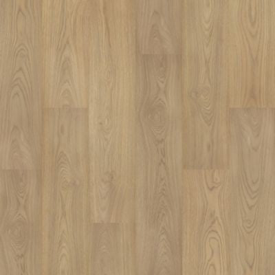 Eden Springs Stallion Hickory 841