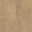 Eden Springs Stallion Hickory 841
