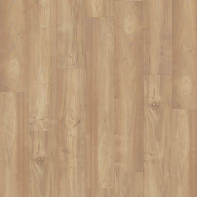 Charlotte Woods Sesame Acacia 149