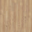 Charlotte Woods Sesame Acacia 149