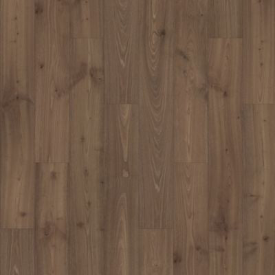 Madison Aisle Molasses Chestnut 861