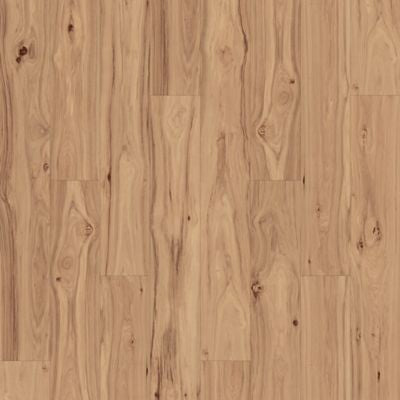 Lacy Highlands Clove Hickory 851
