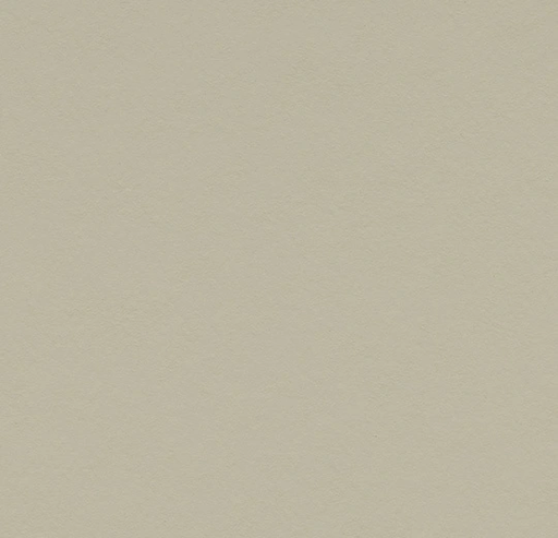 Marmoleum Walton Uni and Cirrus Stucco 3378-cut