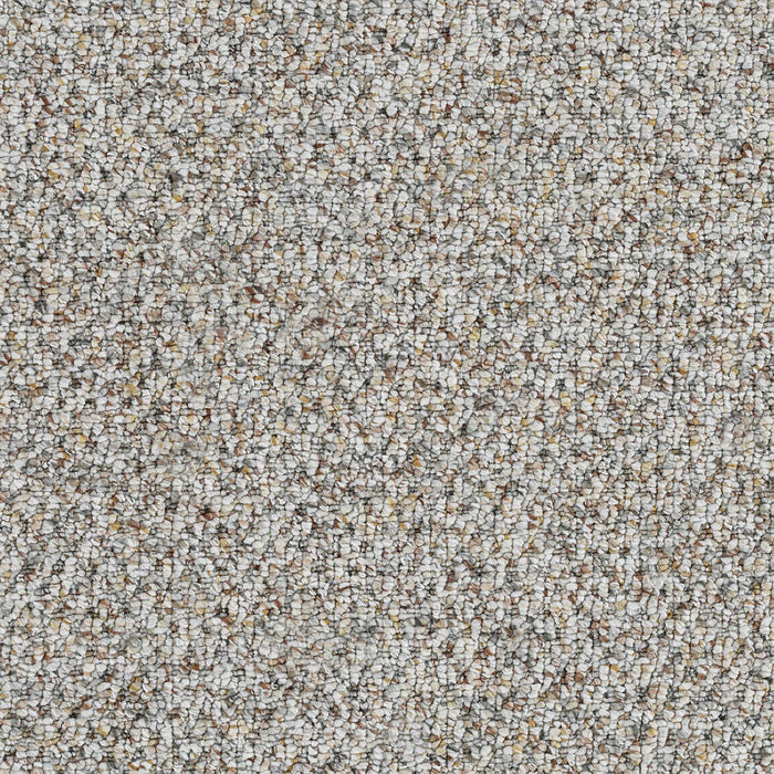 Skyfall Polyester Hued 4081 Carpet Loop 1