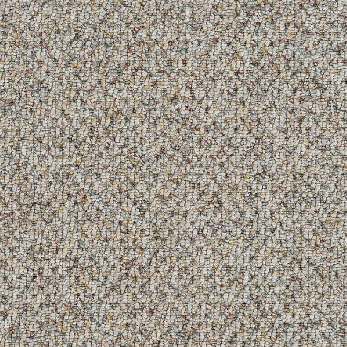 Skyfall Polyester Jazzy 4084 Carpet Loop 1