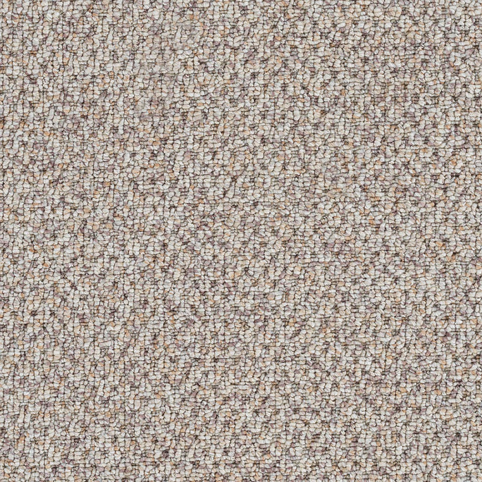 Skyfall Polyester Spicy 4233 Carpet Loop 1