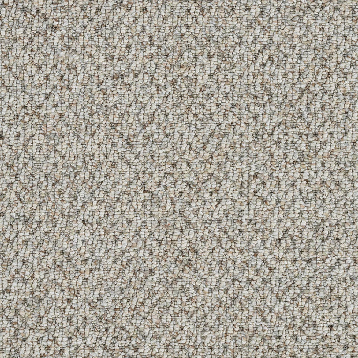 Skyfall Polyester Animated 4245 Carpet Loop 1