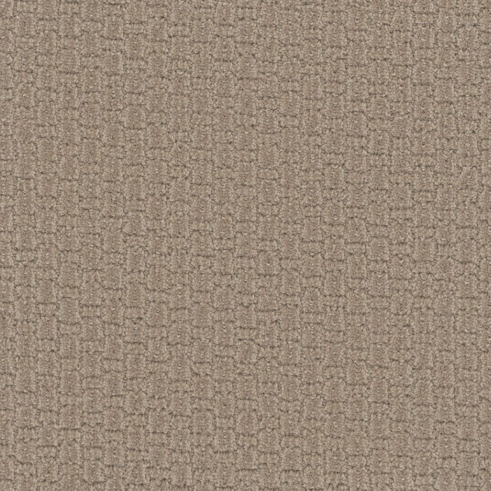 Grand Isle Polyester Almond Bark 2025 Carpet Loop 1