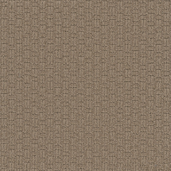 Grand Isle Polyester Tanglewood 5069 Carpet Loop 1