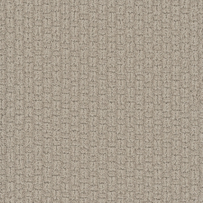 Grand Isle Polyester Blizzard Blast 5110 Carpet Loop 1