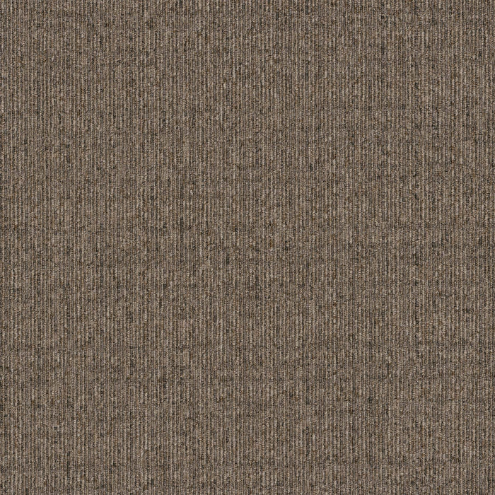 Oasis Broadloom APEX SDP Polyester Basin 2789 Carpet Pattern 1