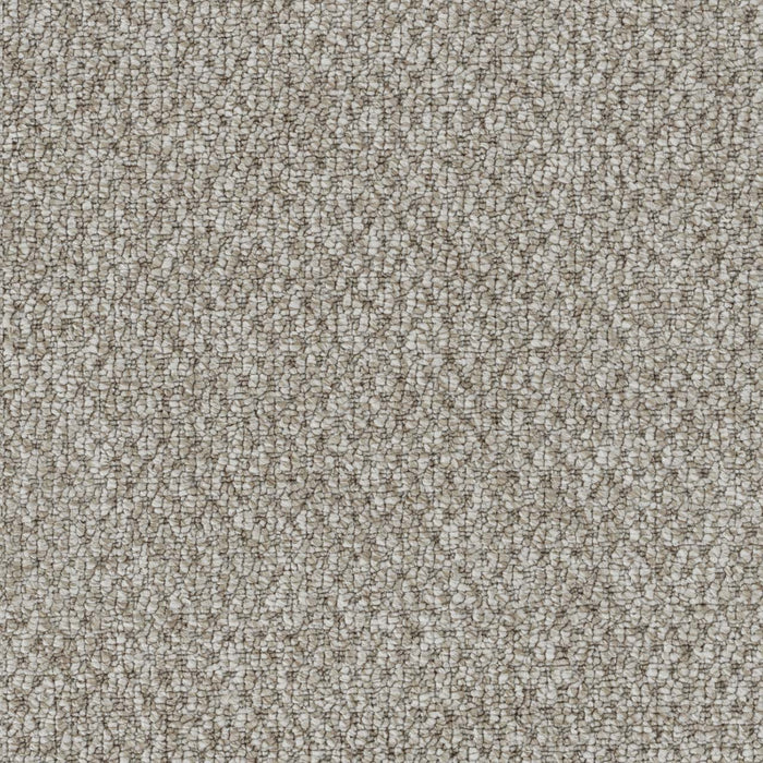 Kosmo Polyester Toast 4635 Carpet Loop 1