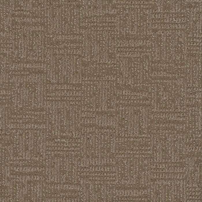 Mystique Polyester Dusted Bronze 2243 Carpet Loop 1