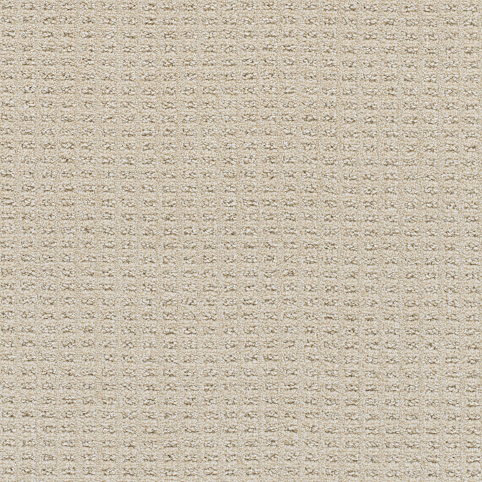 Perfect Balance Polyester Joyous 2069 Carpet Loop 1