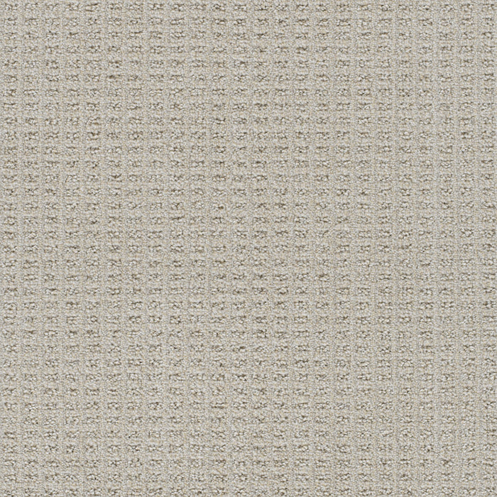 Perfect Balance Polyester Pearly Lace 2233 Carpet Loop 1