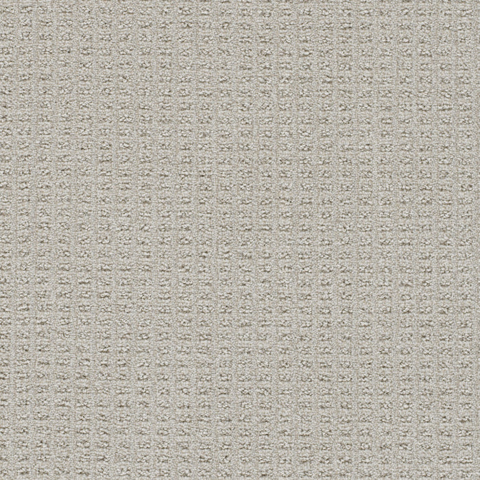 Perfect Balance Polyester Cascades 2387 Carpet Loop 1