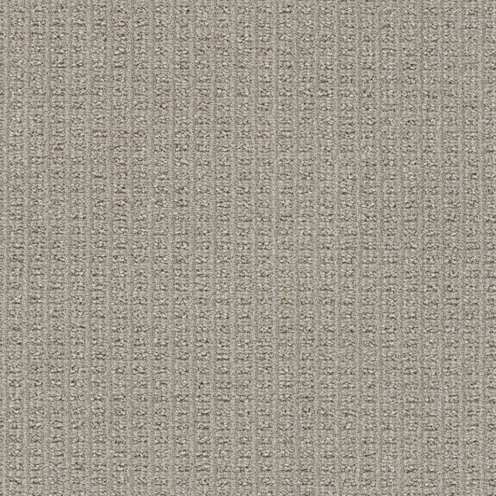 Perfect Balance Polyester Regal 2390 Carpet Loop 1