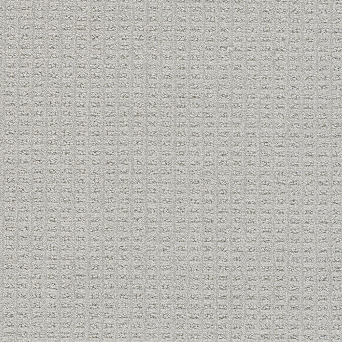 Perfect Balance Polyester Tranquil 2452 Carpet Loop 1