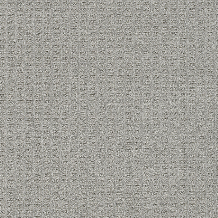 Perfect Balance Polyester Sapphire 2527 Carpet Loop 1