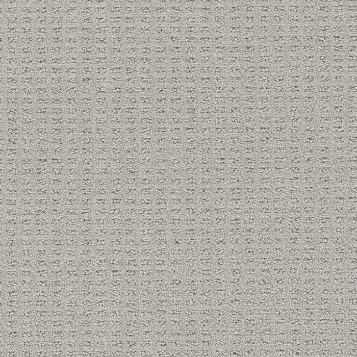 Perfect Balance Polyester Del Mar 2561 Carpet Loop 1