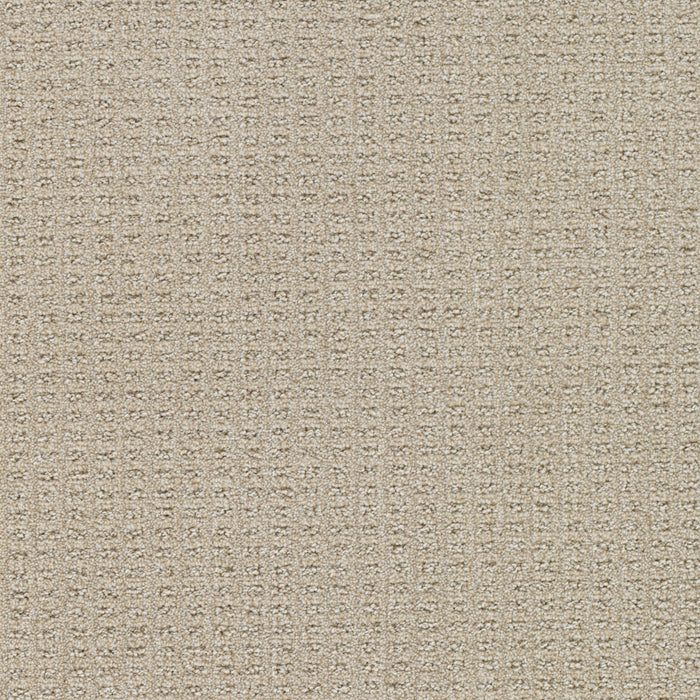 Perfect Balance Polyester Light Wheat 2586 Carpet Loop 1