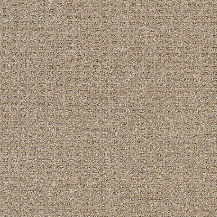 Perfect Balance Polyester Sand Dance 2604 Carpet Loop 1