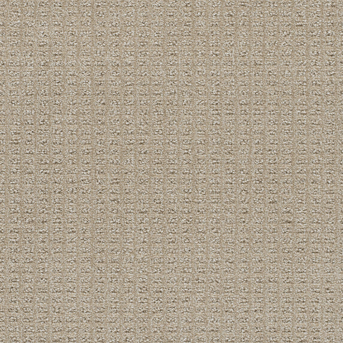 Perfect Balance Polyester Papaya 2655 Carpet Loop 1