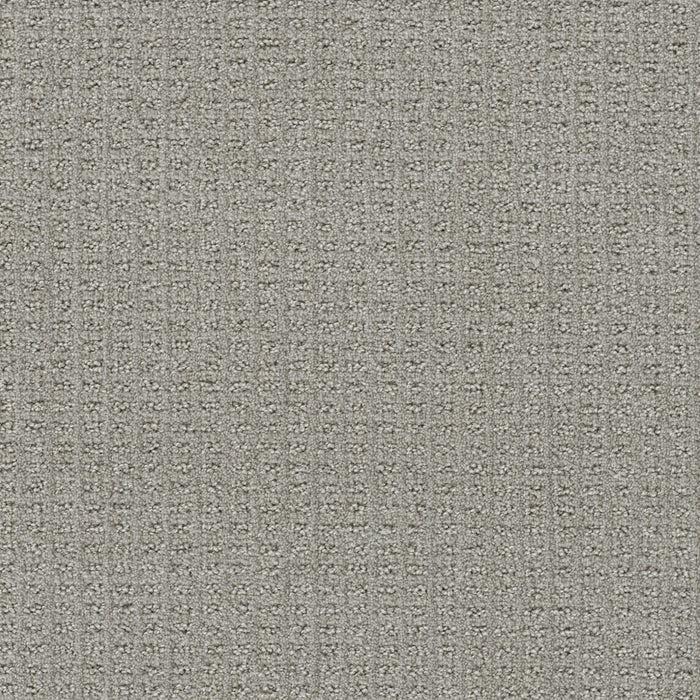 Perfect Balance Polyester Lodgestone 2700 Carpet Loop 1