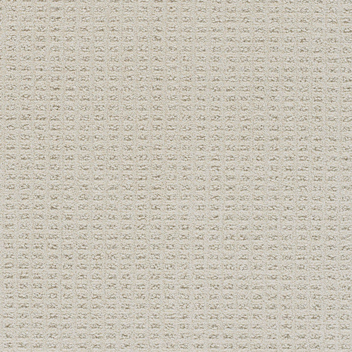 Perfect Balance Polyester Wishful 2723 Carpet Loop 1
