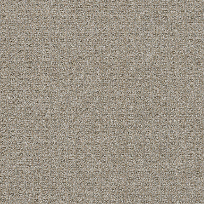 Perfect Balance Polyester Warm Putty 2732 Carpet Loop 1