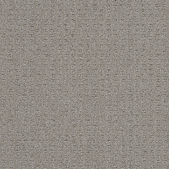 Perfect Balance Polyester Ravishing 2867 Carpet Loop 1