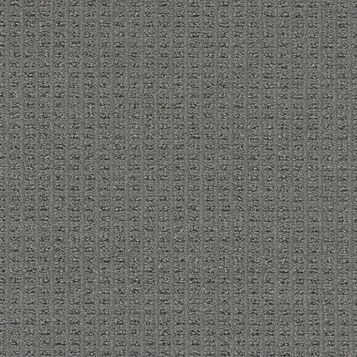 Perfect Balance Polyester Moon Stone 2944 Carpet Loop 1